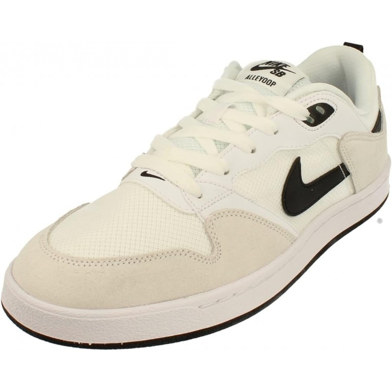 Nike SB Alleyoop pour homme