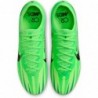 Chaussures de football basses Nike Vapor 15 Elite Mercurial Dream Speed FG (FJ7196-300, Vert Strike/Vert Stadium/Noir)