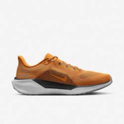 Chaussures de course sur route Nike Pegasus 41 Pegasus 41 pour homme, Tennessee (FZ5144-800, céramique brillante/blanc/gris fer/