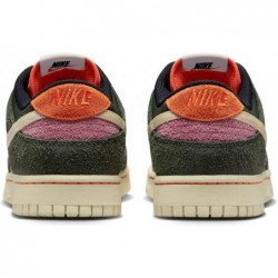 Nike Dunk Low Rainbow Trout Homme (FN7533 300)