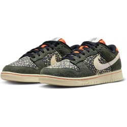 Nike Dunk Low Rainbow Trout Homme (FN7533 300)